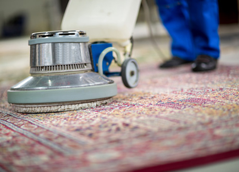 carpet cleaners hamilton | carpet cleaners dunnville